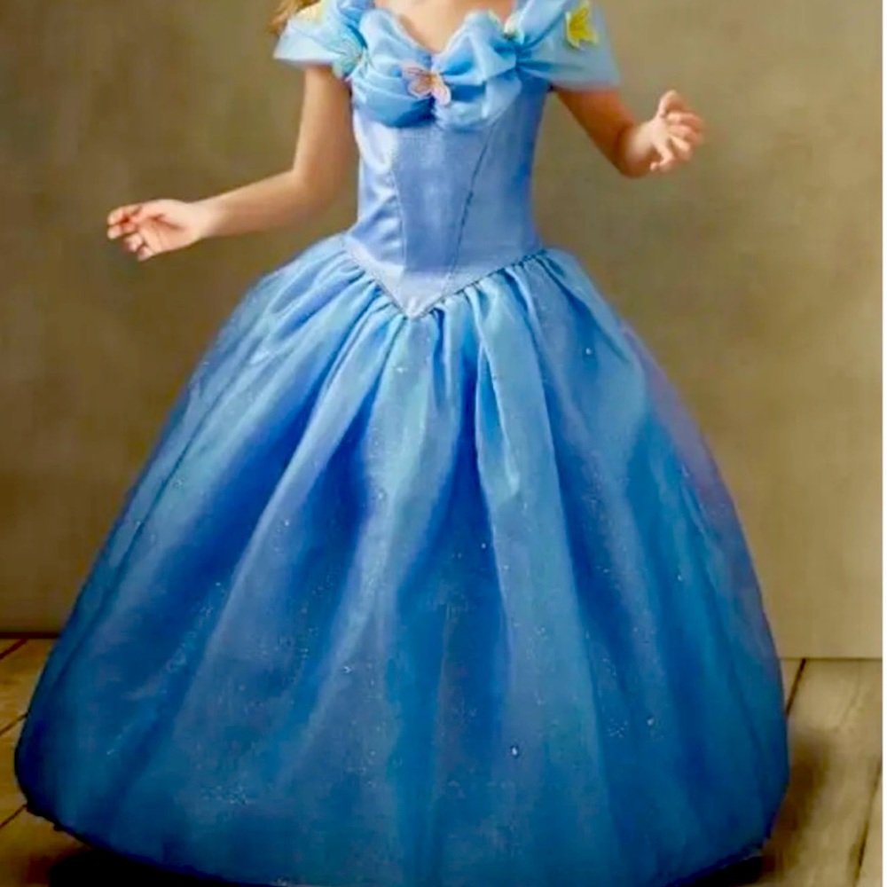 Disney x Chasing Fireflies Deluxe Cinderella Butterfly Ball Gown Dress Costume 8